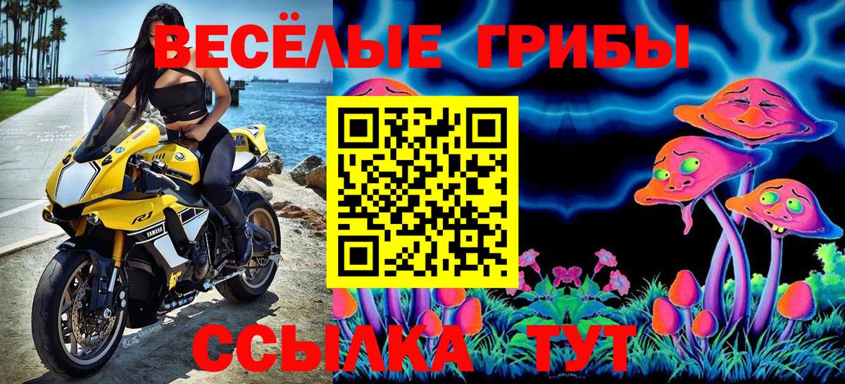 Галлюциногенные грибы Cubensis Выборг