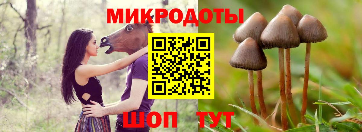Выборг  Псилоцибиновые грибы GOLDEN TEACHER  Вход с VPN  купить наркоту  Галлюциногенные грибы Magic Shrooms 